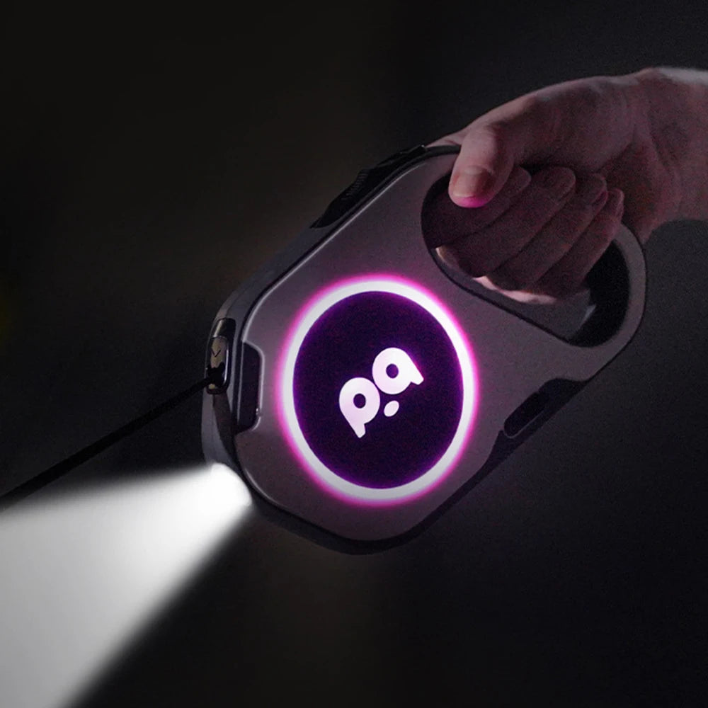 LED Retractable Dog Leash | 5M Rechargeable Light-Up Leash