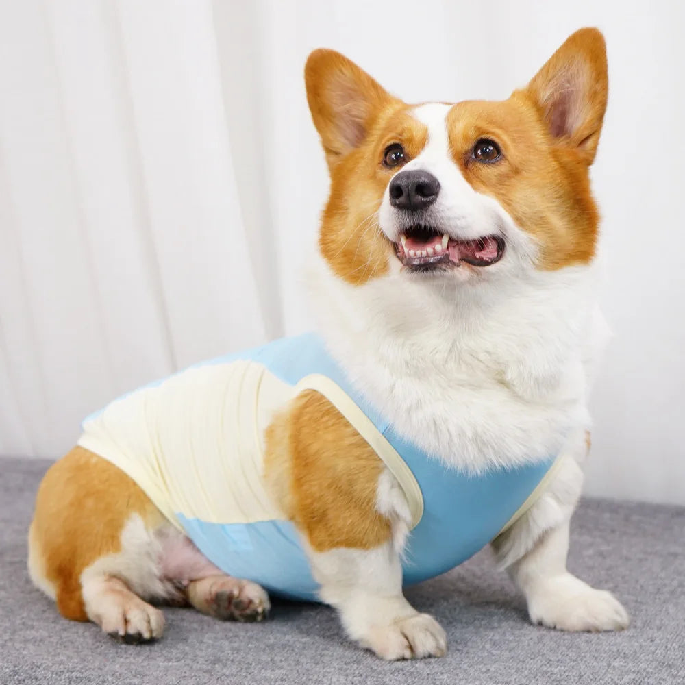 Ice Silk Cooling Vest with Sun Protection for Dogs & Cats