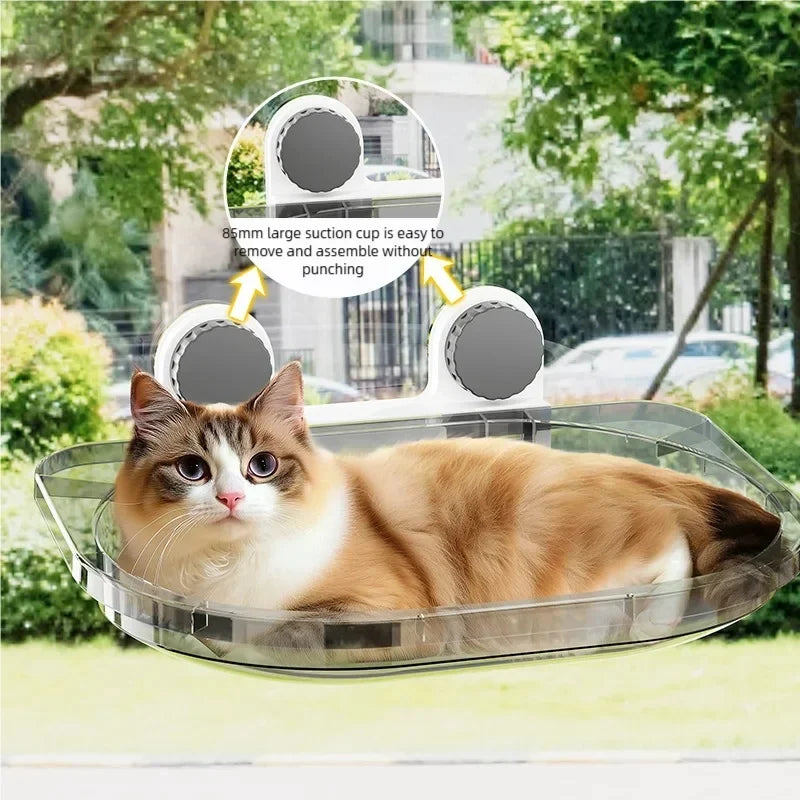 Suction-Cup Cat Window Perch