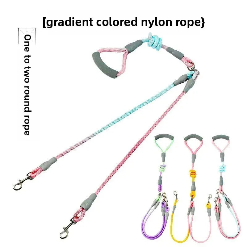 Ensemble complet de collier, harnais et laisse pour chien de qualité supérieure