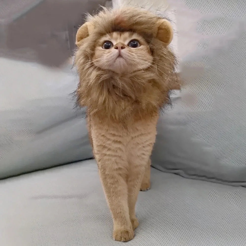 Lion Mane Wig for Cats & Small Dogs – Fancy Dress Costume