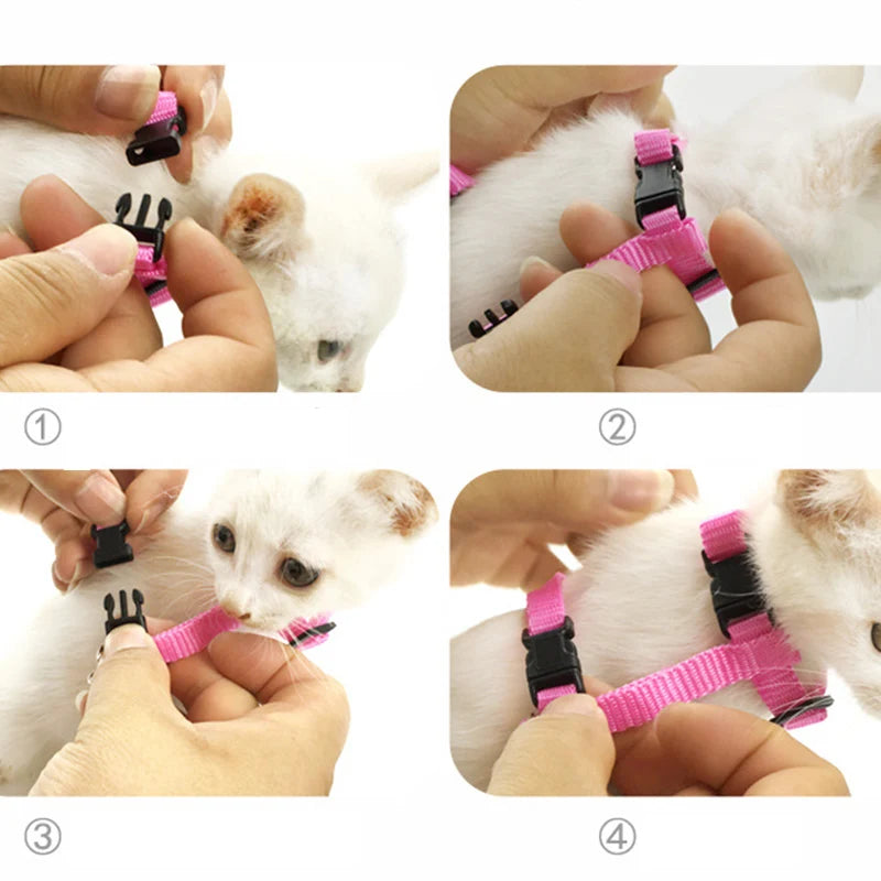 Angel Wings Harness & Leash Set for Cats, Kittens & Small Pets