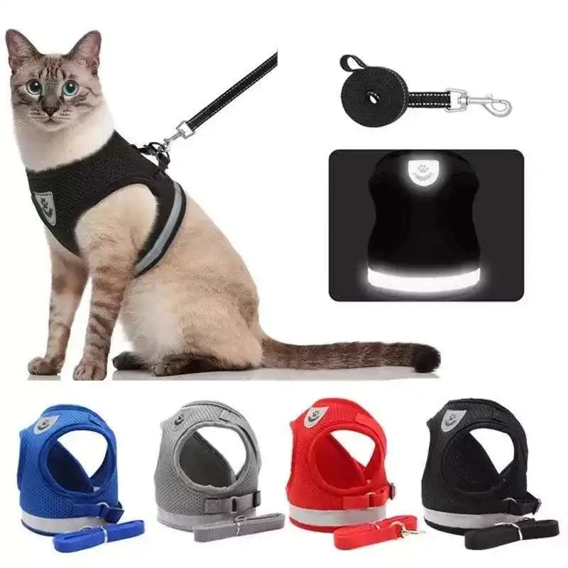 Ensemble harnais et laisse anti-évasion pour animaux de compagnie – Gilet en maille réfléchissante pour chats et petits chiens