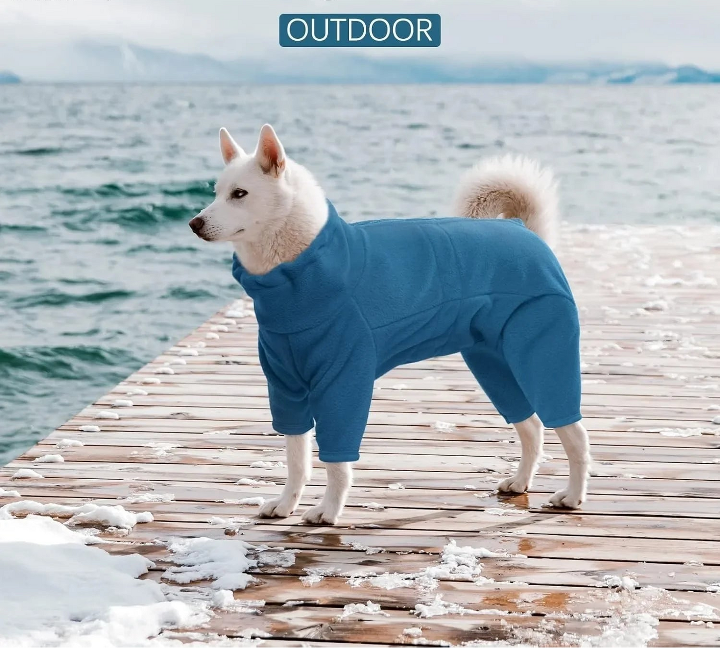 Manteau d'hiver pour chien - Veste coupe-vent en polaire douce pour temps froid