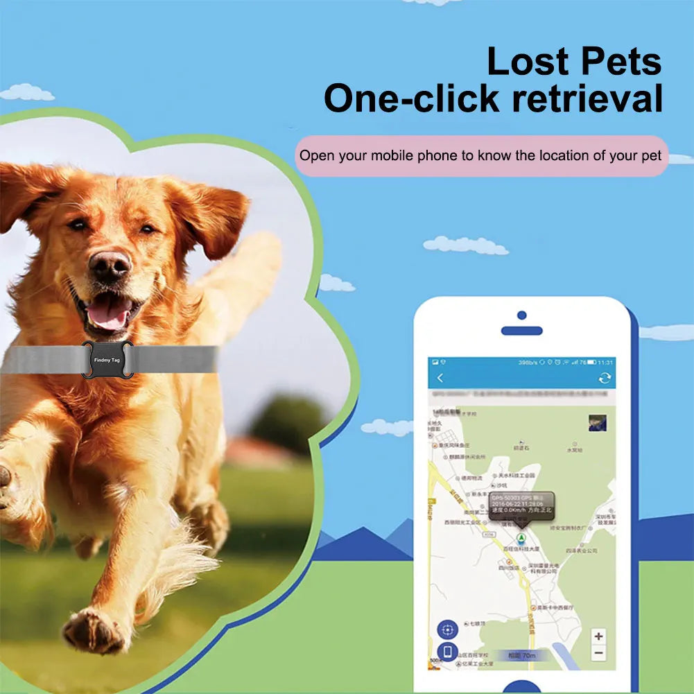 IP67 Bluetooth Pet Tracker with Collar for Dogs & Cats — Findmytag App