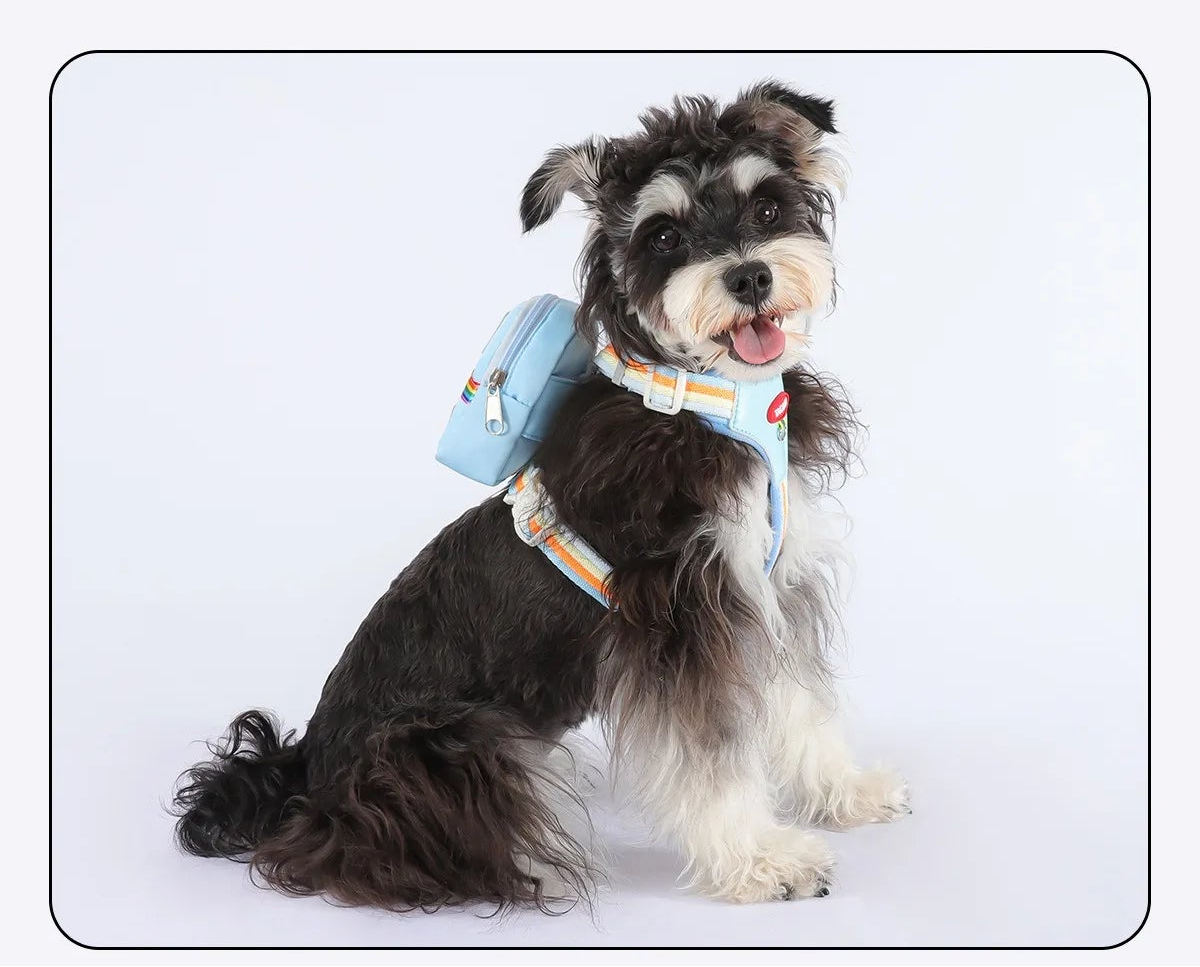 Dog Harness & Lead Set – Padded Vest Harness with Reflective Strips for Small & Medium Dogs