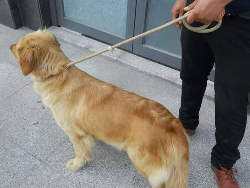 Laisse-collier chien - Corde tressée robuste avec boucle réglable pour grands chiens
