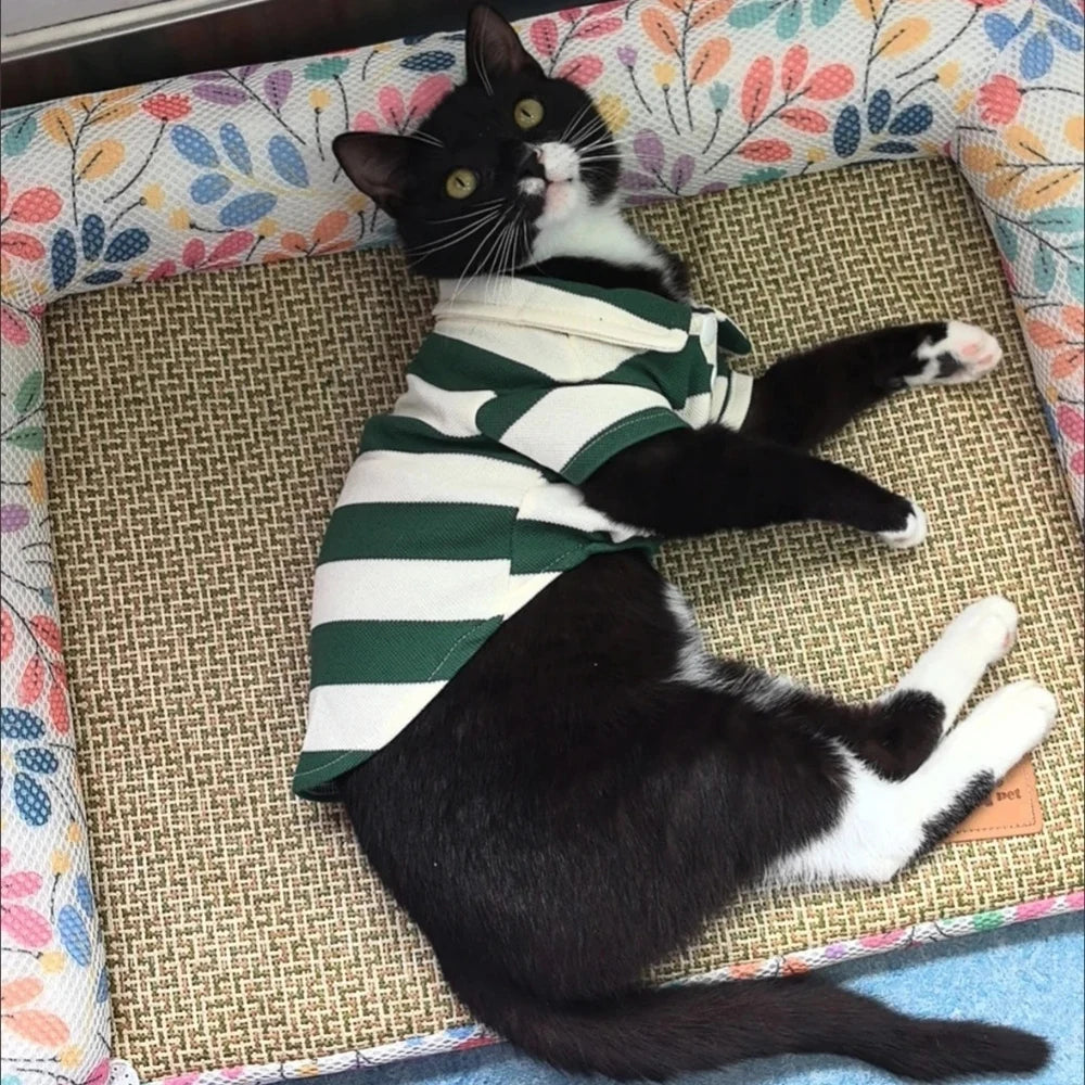 Striped Polo Shirt for Cats & Small Dogs