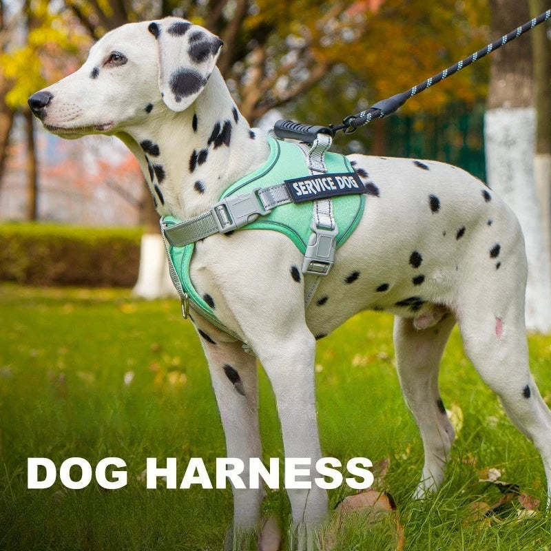 No Pull Dog Harness with Front Clip and Handle