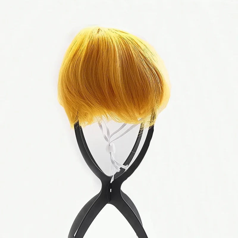 Pet Halloween Wig - Curly & Straight Hair Costume Accessory for Dogs & Cats