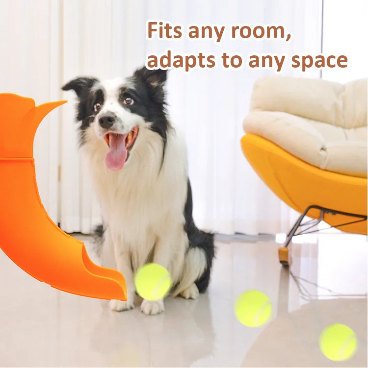 Table-Clip Dog Ball Return Toy