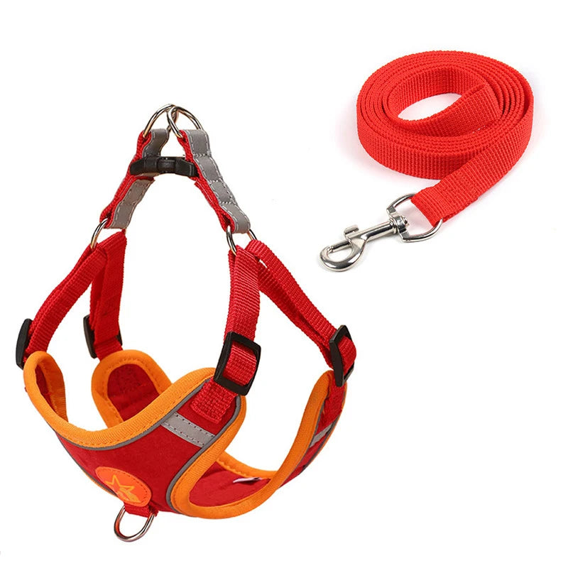 Reflective Soft Mesh Dog Harness with Dual Lead Hooks – No-Pull Vest for Small & Medium Dogs