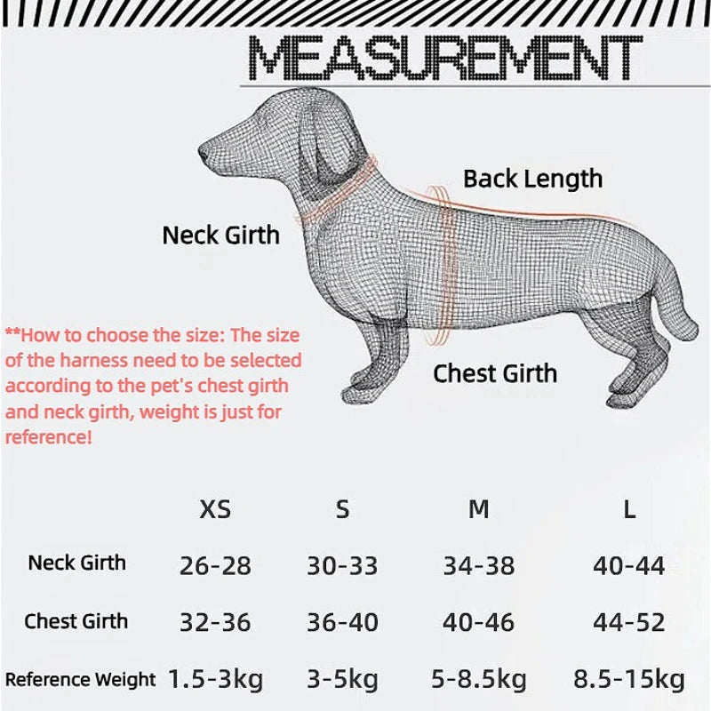 Ensemble Harnais et Laisse Réfléchissants Ajustables pour Chiens et Chats de Petite et Moyenne Taille
