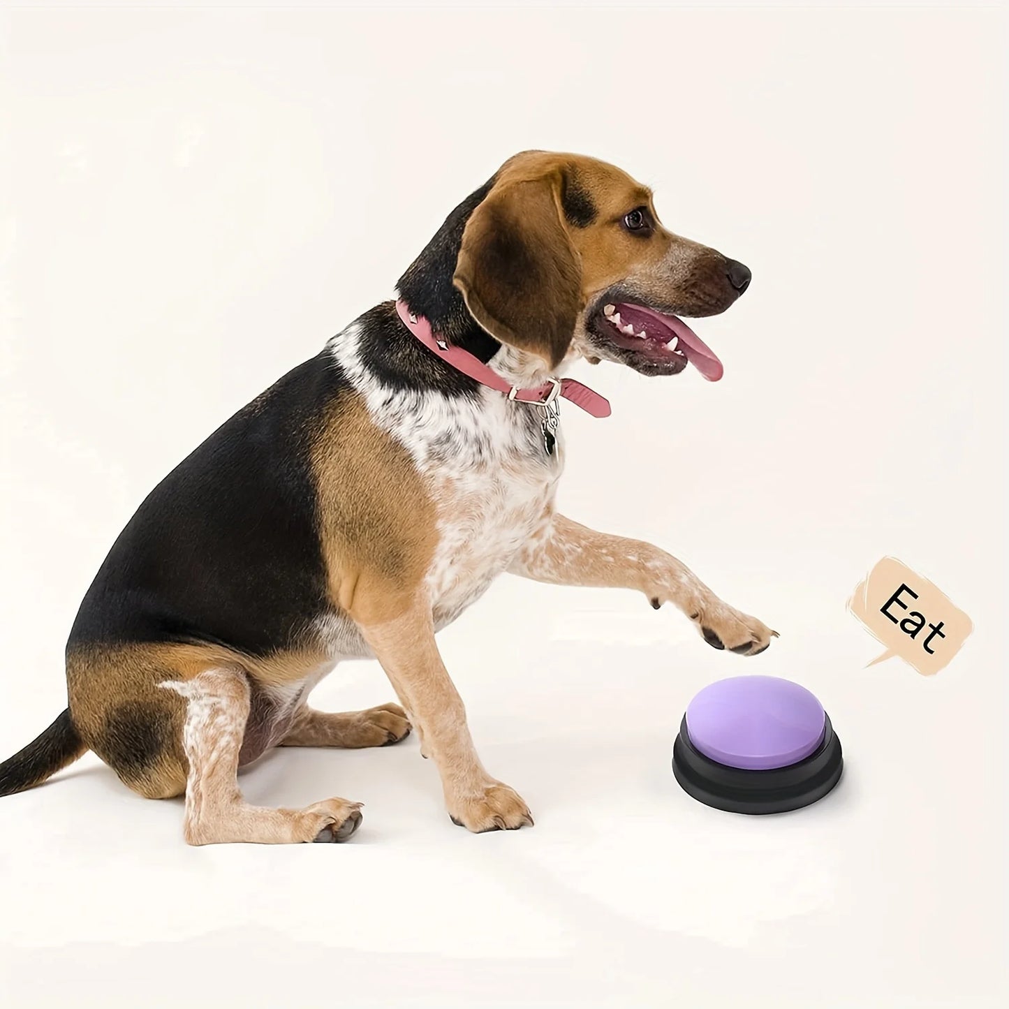 Boutons de communication pour animaux de compagnie - 4 buzzers enregistreurs vocaux pour chiens