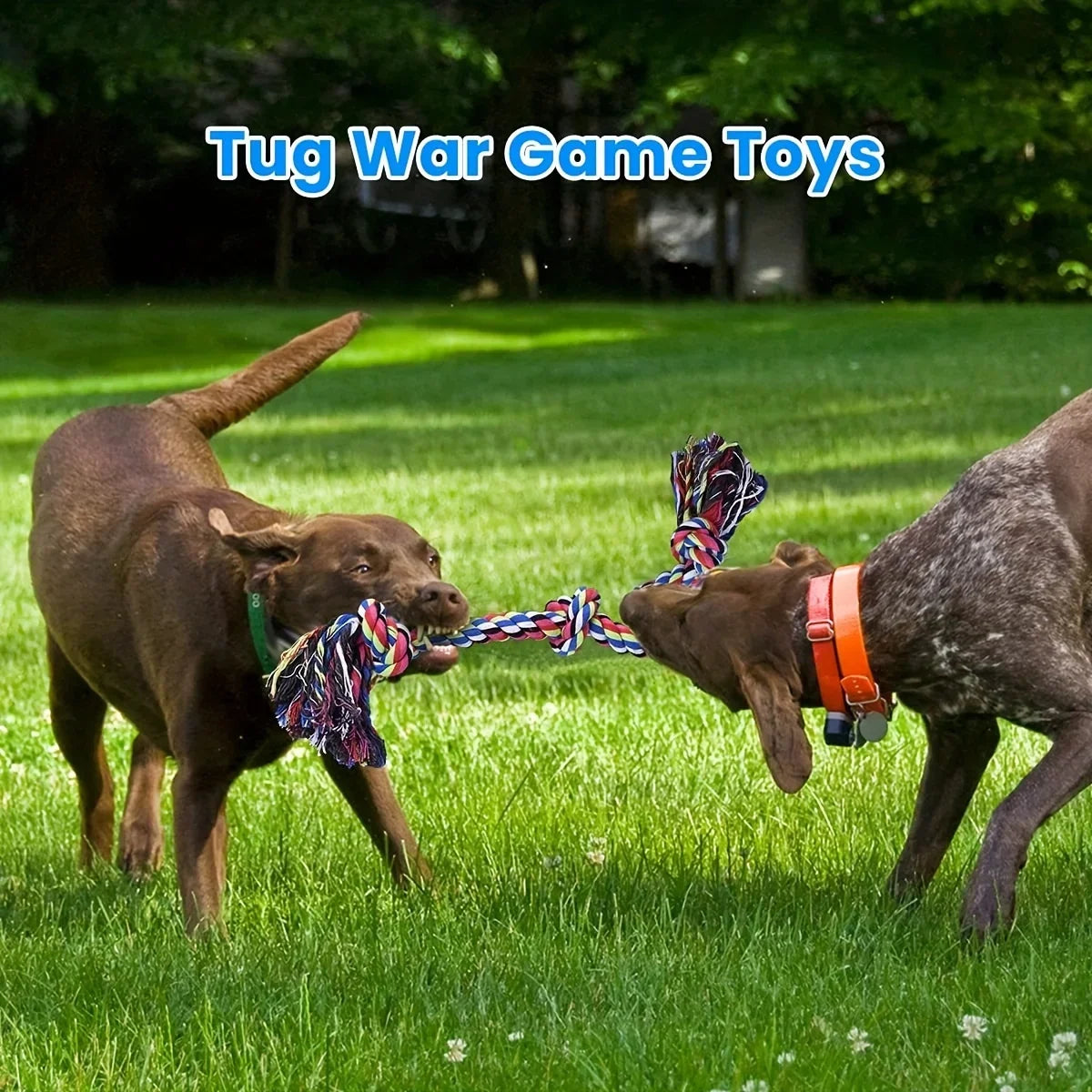 Knotted Rope Tug Toy for Dogs – Durable Chew & Interactive Play Toy for Medium & Large Dogs