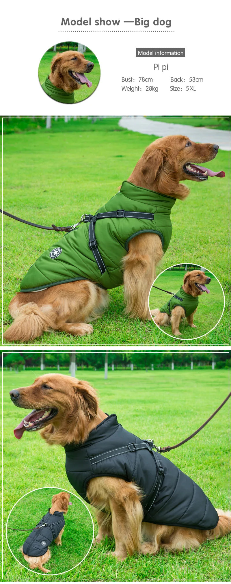 Veste imperméable pour chien avec harnais