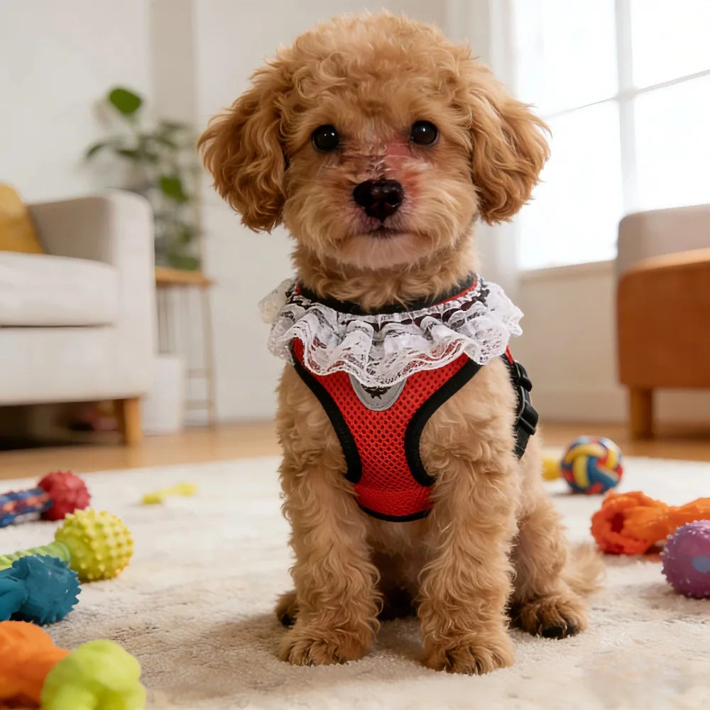 Harnais et laisse pour chien et chat anti-évasion en maille | Harnais de marche réfléchissant réglable pour petits animaux de compagnie