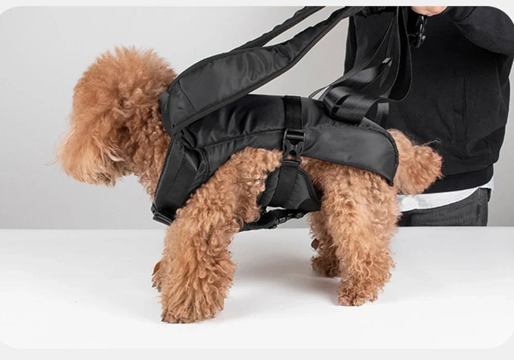 Breathable Pet Carrier Backpack for Small & Medium Dogs