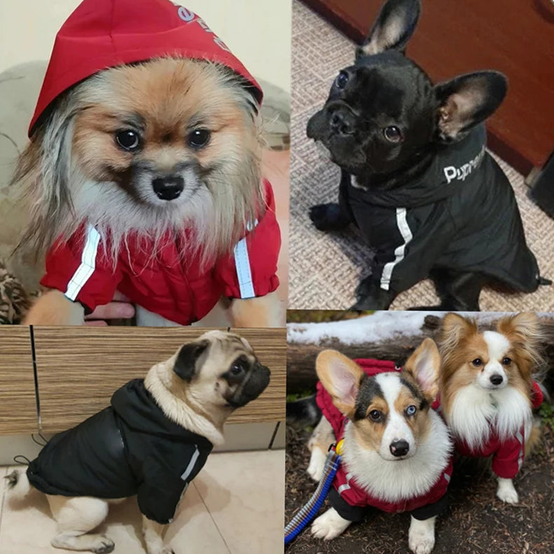 Waterproof Warm Hoodie Jacket for Dogs & Cats – Autumn & Winter
