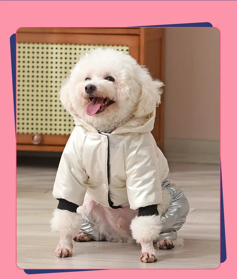 Waterproof Winter Down Hoodie Jacket for Small Dogs