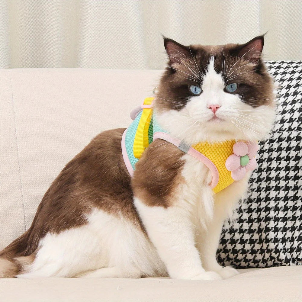 Breathable Mesh Pet Harness and Leash Set