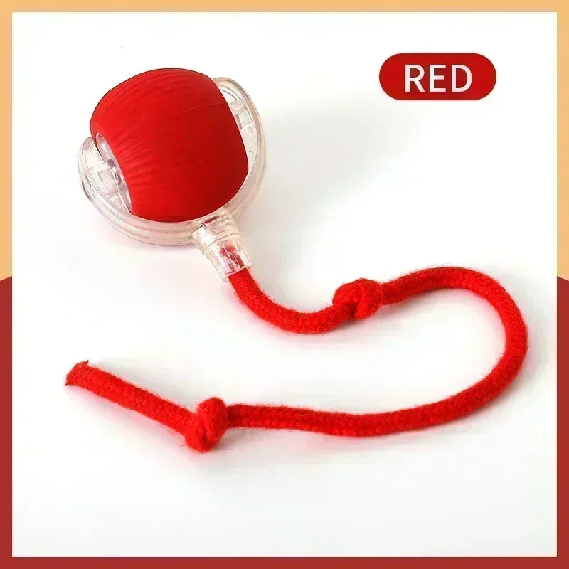 Interactive Self-Moving Cat Toy Ball