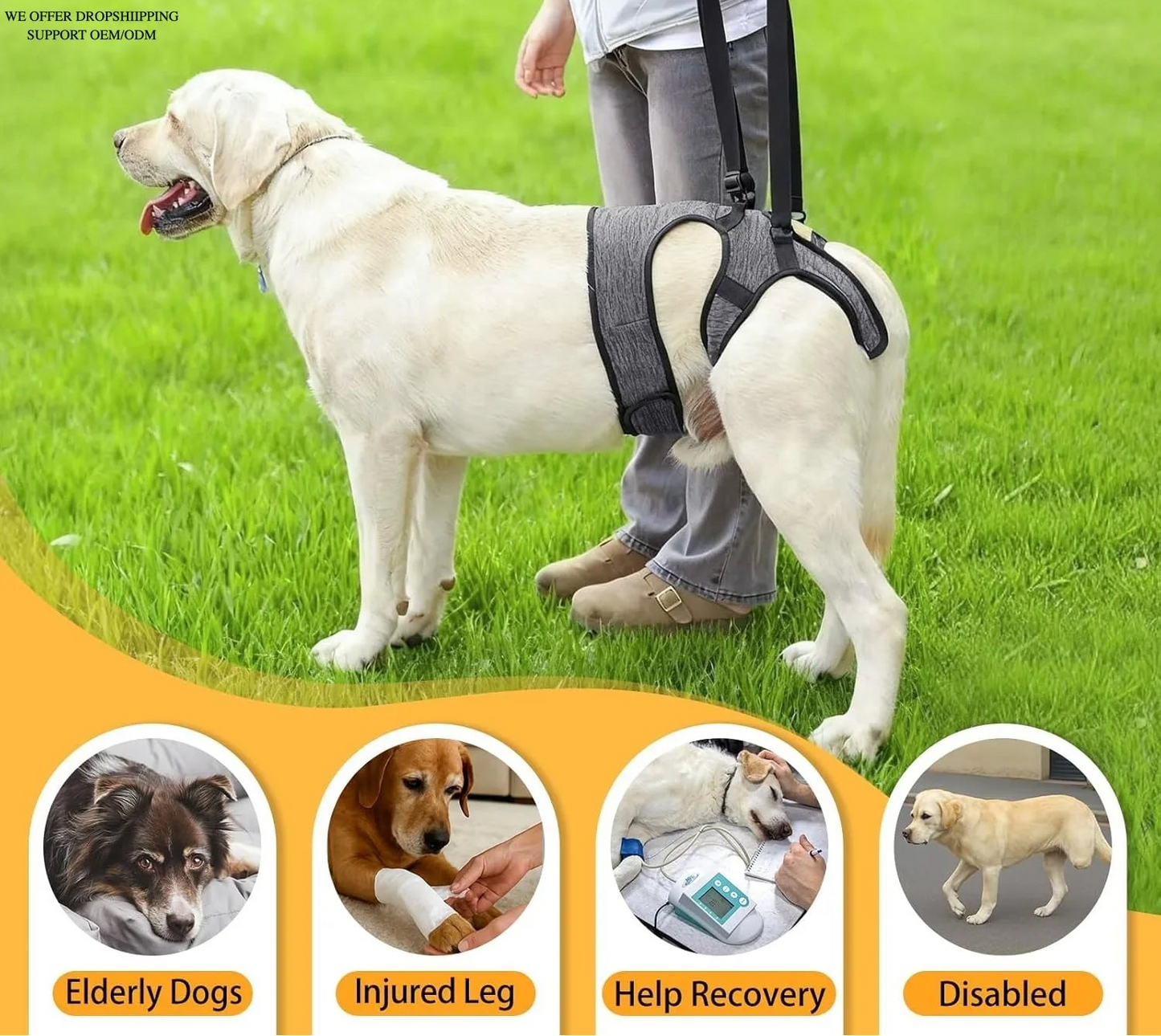 Hind Leg Support Dog Sling for Large & Senior Dogs | Adjustable Mobility Aid