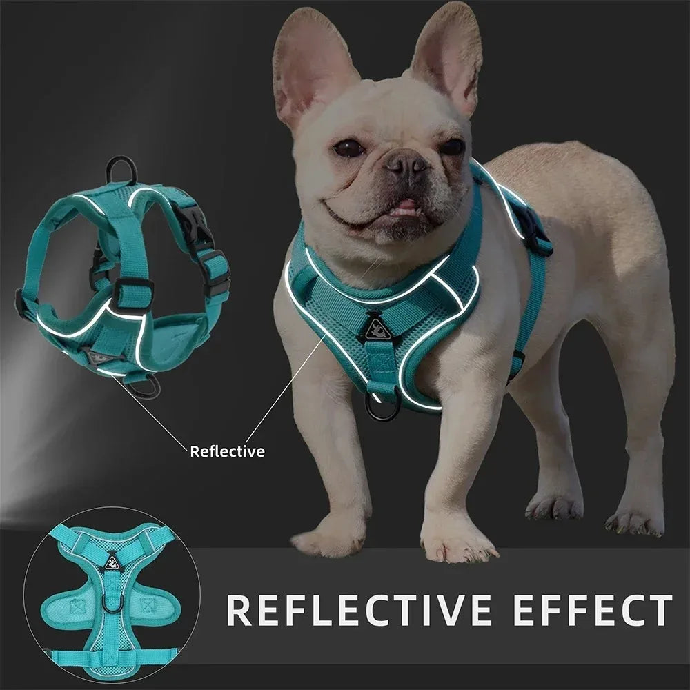 No-Pull Reflective Pet Harness and Leash Set