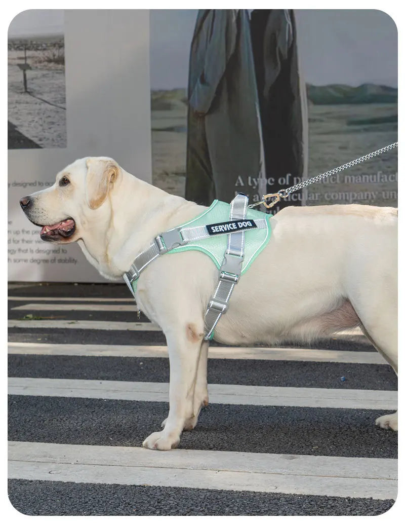 No Pull Dog Harness with Front Clip and Handle