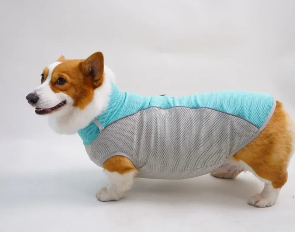 Ice Pack Cooling Vest for Small & Medium Dogs