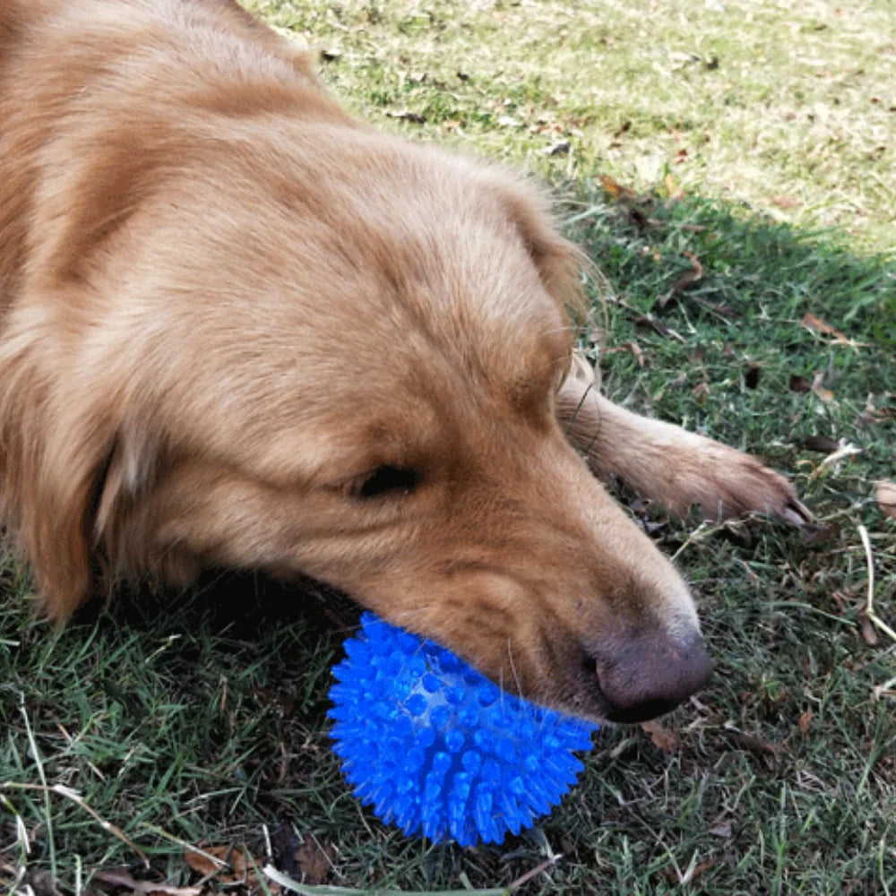 Squeaky Rubber Play Ball for Dogs