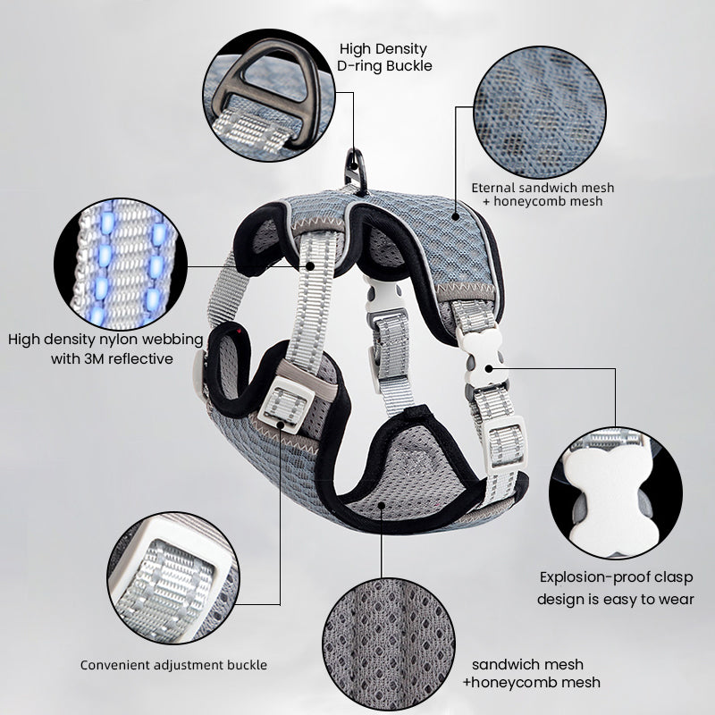 Reflective Cat Harness and Leash Set - Escape Proof, Adjustable Walking Harness