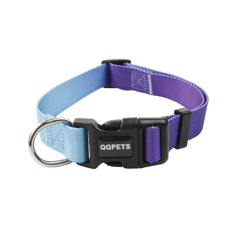 Ensemble laisse et collier réglables en nylon pour chiens - Pour petits et grands chiens