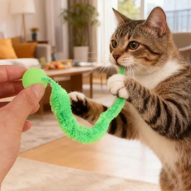 Interactive Glow & Bounce Cat Toy Set – Caterpillar, Balls & Teaser