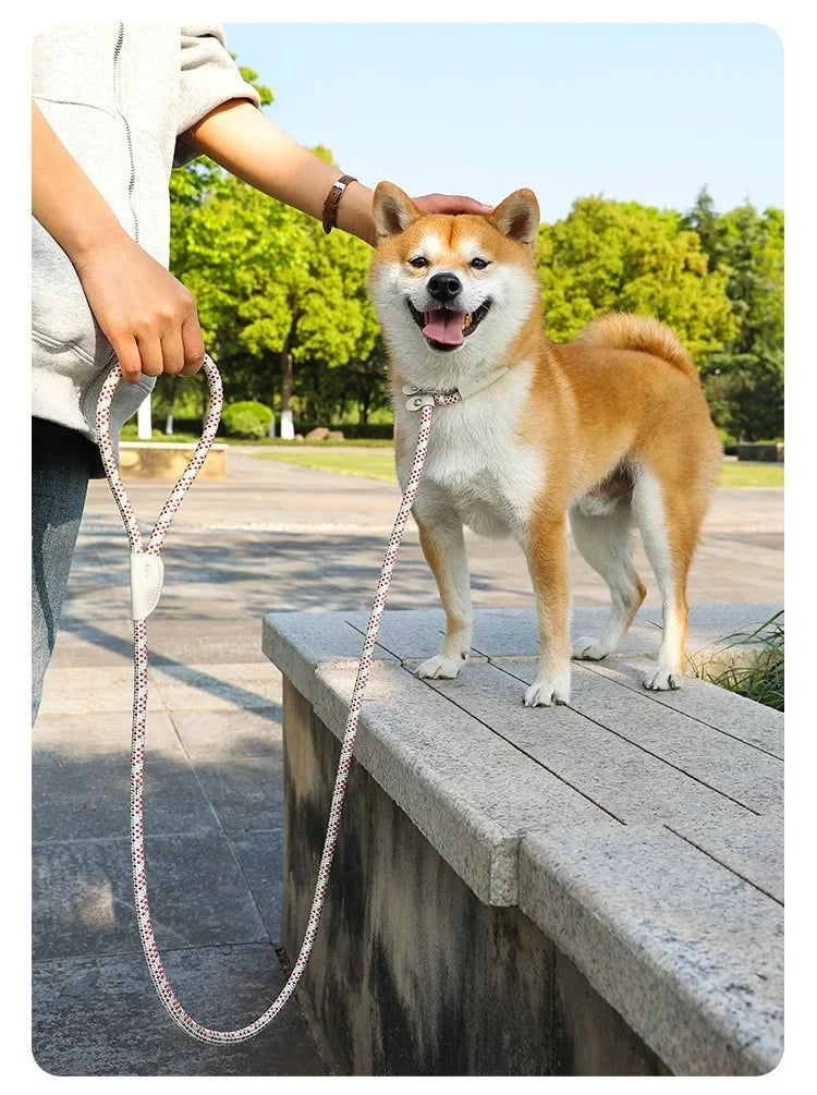Ensemble laisse et harnais réglables en nylon pour chien