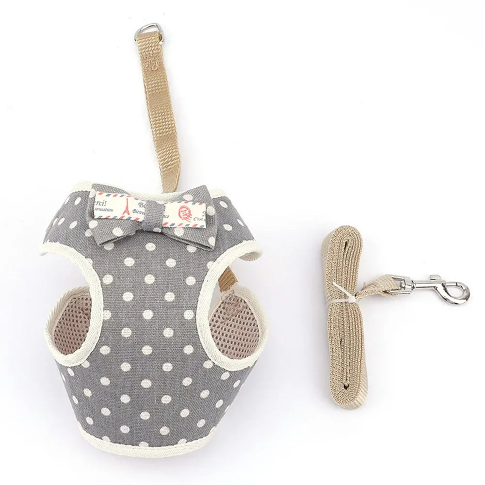 Nylon Mesh Cat & Small Dog Harness Set