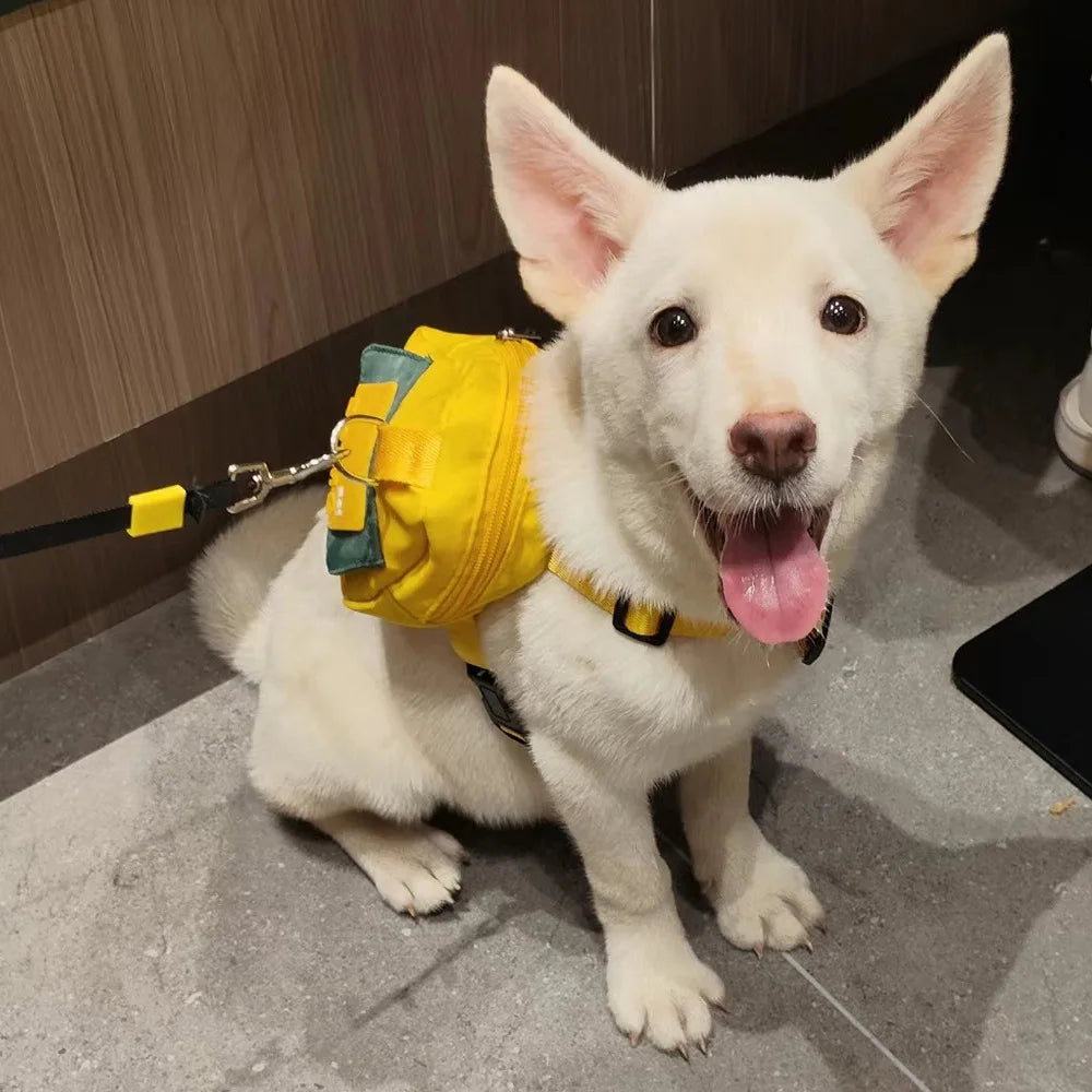 Dog Harness with Built-In Snack Bag | Adjustable Backpack Harness