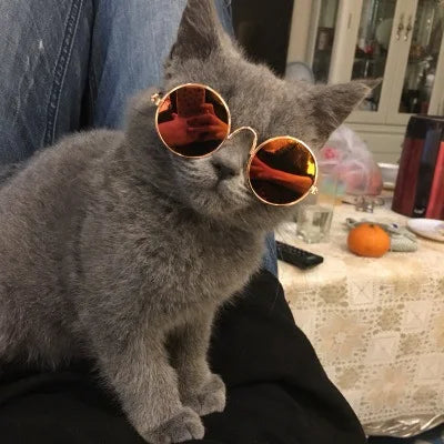 Vintage Round Pet Sunglasses for Cats and Small Dogs