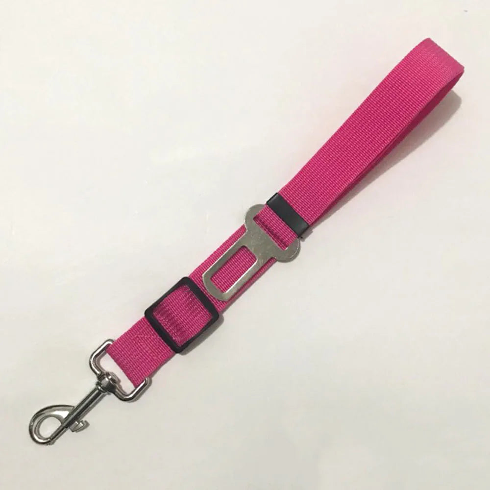 Ceinture de sécurité rétractable pour chien avec bande réfléchissante