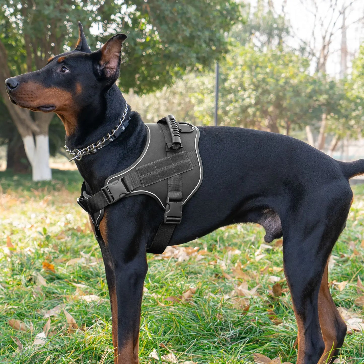 Tactical Dog Harness for Large Dogs