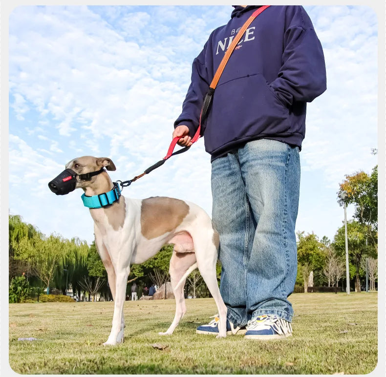 Heavy-Duty Tactical Bungee No-Pull Dog Leash for Large Dogs