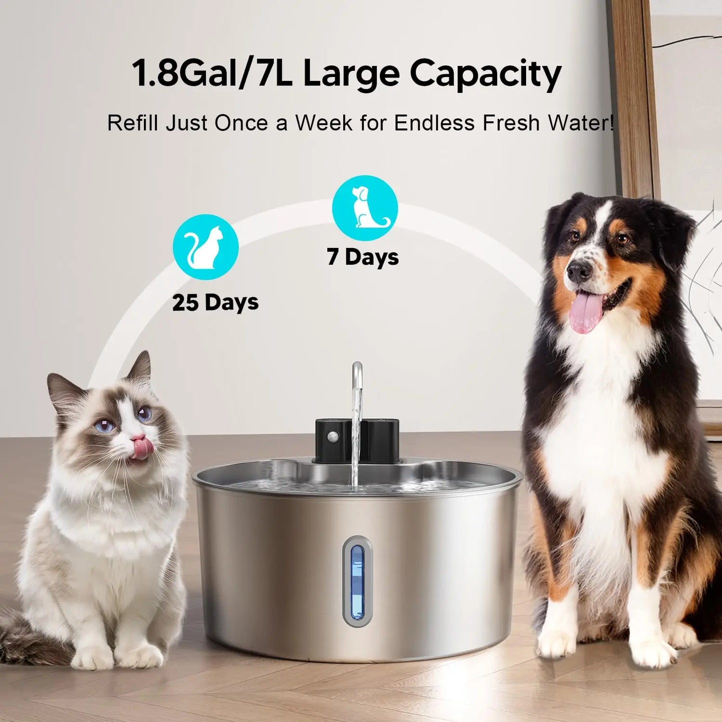 Fontaine à eau sans fil en acier inoxydable de 7 L pour chat — Sans fil intérieur