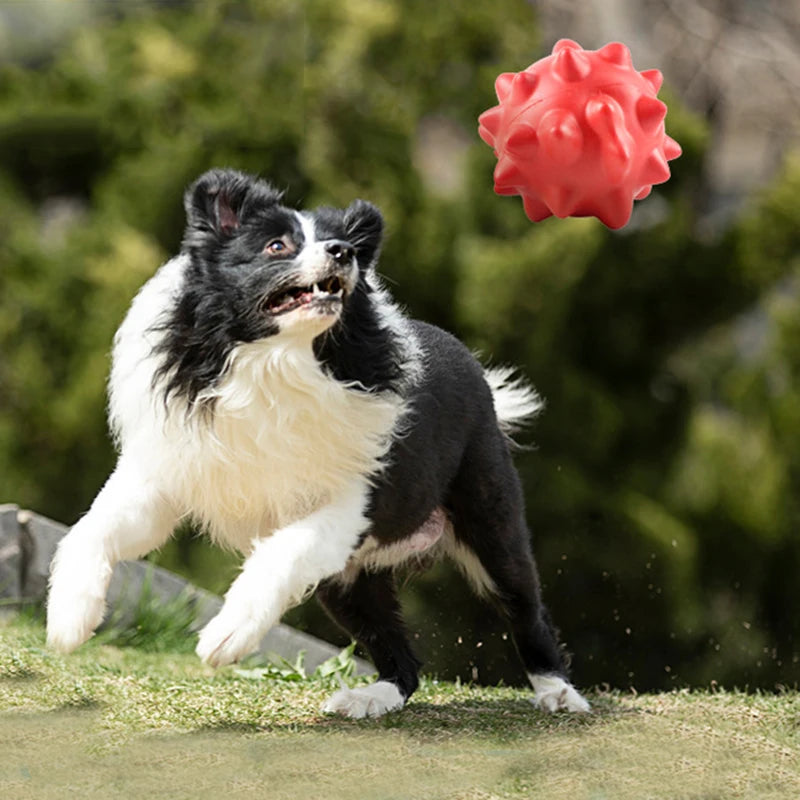 Bite-Resistant Chew Toys for Dogs