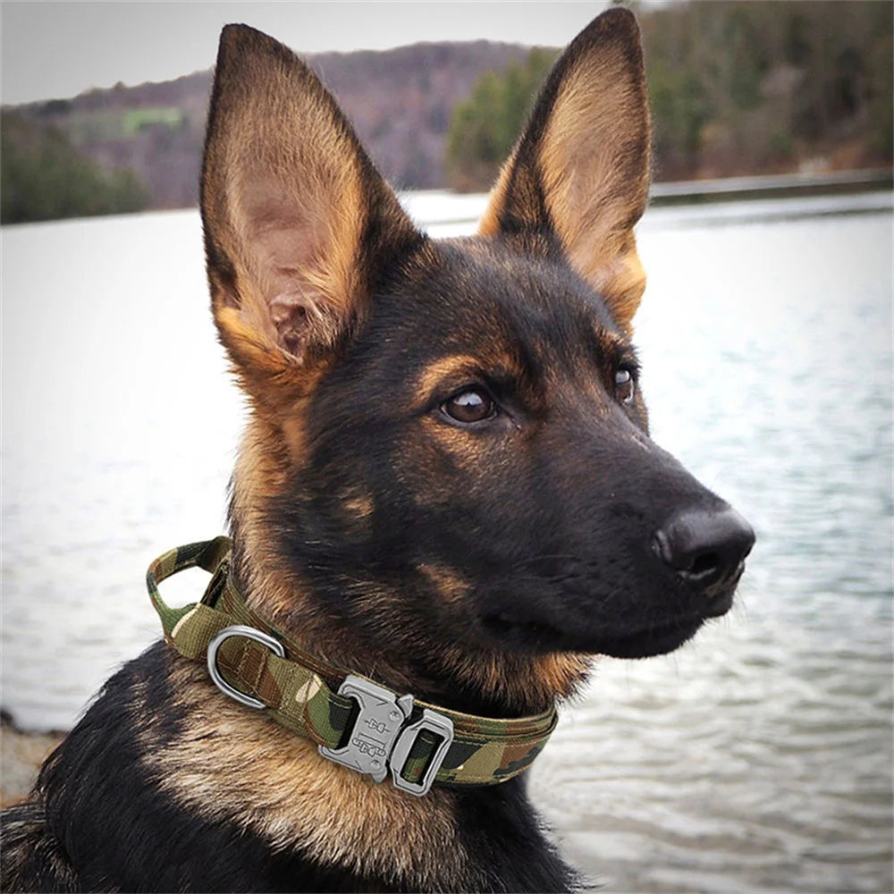 Durable Nylon Dog Collar & Leash Set for Large Dogs