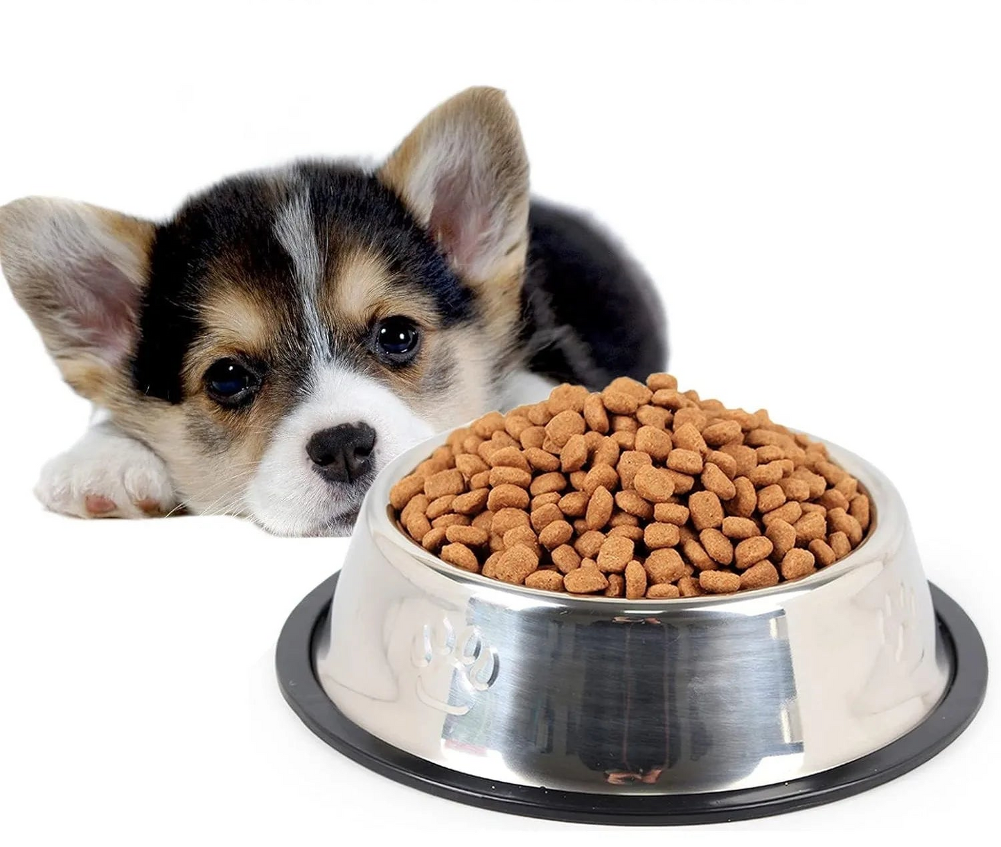 Stainless Steel Pet Bowls Set - 2 Pack Non-Slip Stackable Dishes