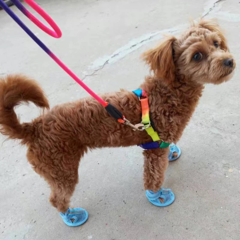 Mesh Sandal Shoes for Small Dogs & Cats — Set of 4