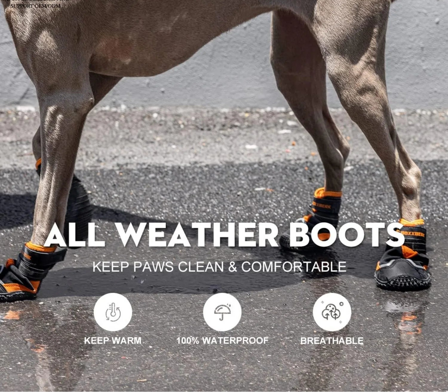 Waterproof Dog Boots for All Weather | Hot Pavement, Snow & Hiking | Set of 4
