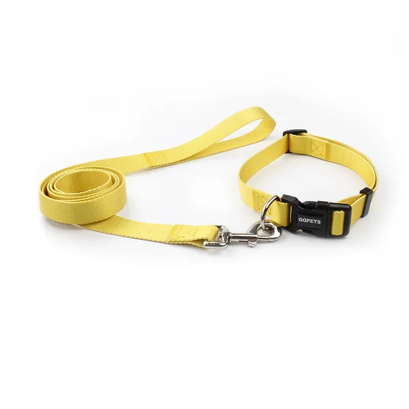 Ensemble laisse et collier réglables en nylon pour chiens - Pour petits et grands chiens