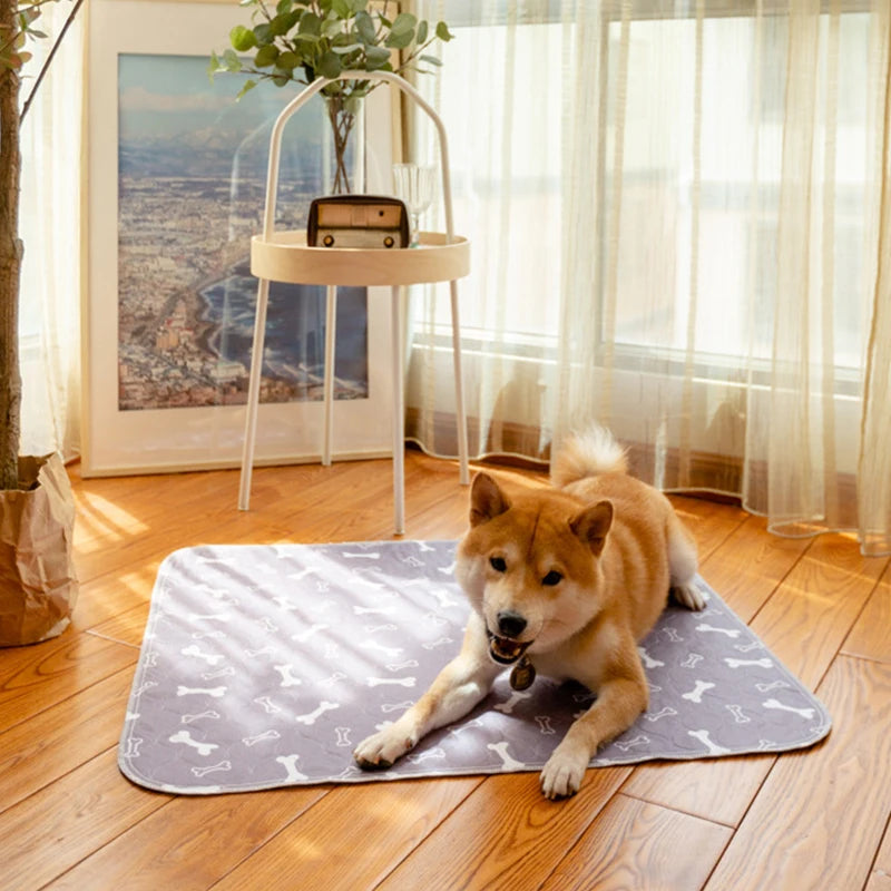 Washable Puppy Training Pad with Pheromones