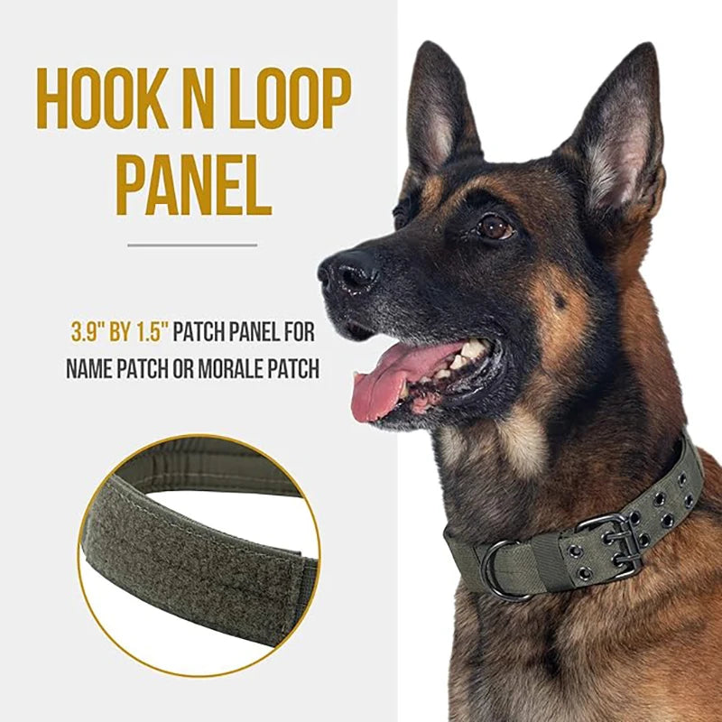 Military Dog Collar with Metal D-Ring & Buckle — Adjustable Working Collar for Medium & Large Dogs